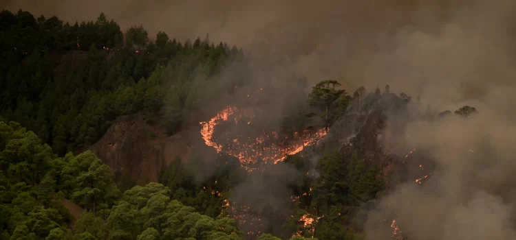 Incendio Forestal en Tenerife: 1,800 Hectáreas Afectadas y Perímetro de 22 Kilómetros