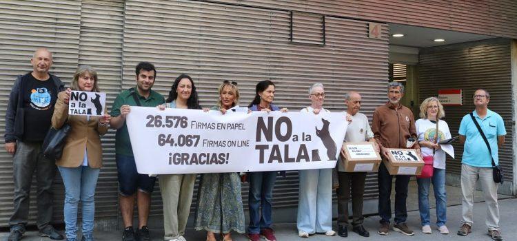 ¡Árboles en peligro! Vecinos de Arganzuela en Madrid se levantan contra la tala masiva por la ampliación del Metro