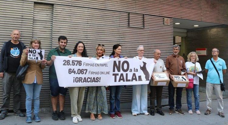¡Árboles en peligro! Vecinos de Arganzuela en Madrid se levantan contra la tala masiva por la ampliación del Metro