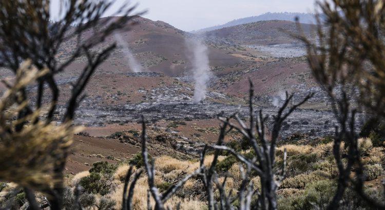 Incendio en Tenerife controlado después de nueve días