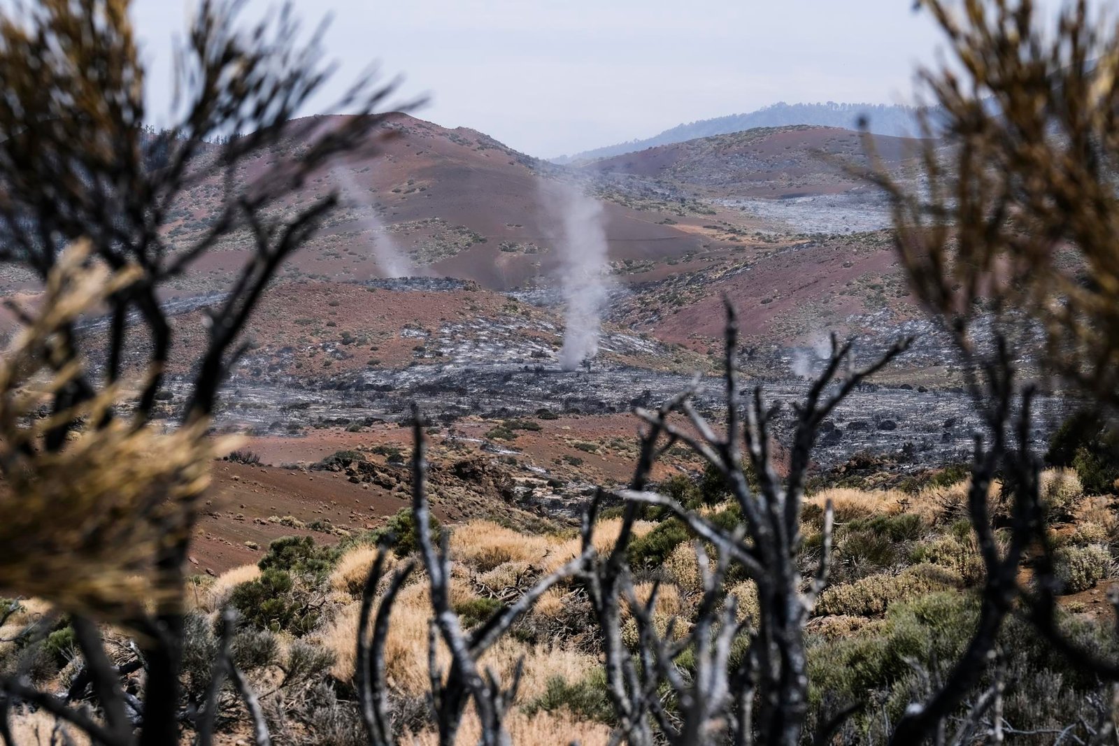 Incendio en Tenerife controlado después de nueve días