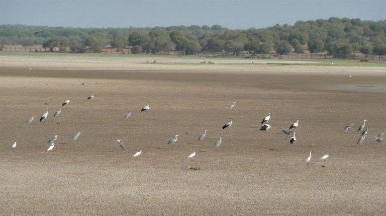 Fiscalía investiga extracción ilegal de agua en Parque Nacional de Doñana