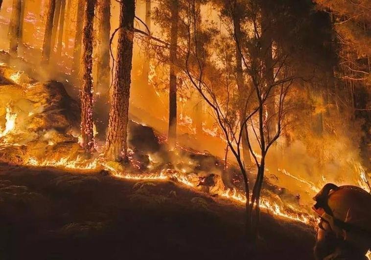 Incendio de Tenerife, que afectó a 14.700 hectáreas, se declara técnicamente controlado