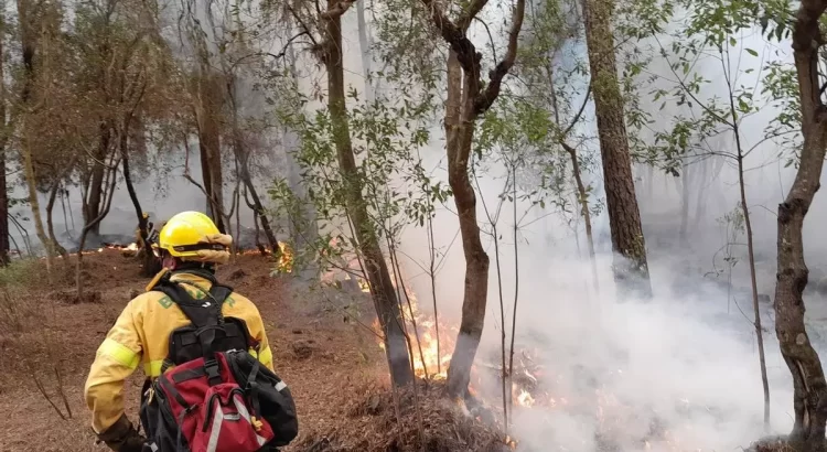 Incendio en montes de Tenerife continúa sin control tras tres semanas