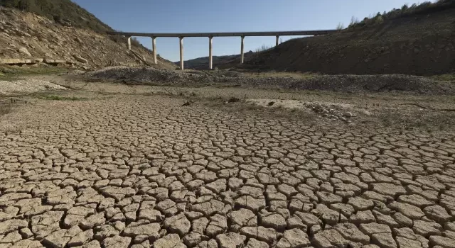 Cataluña enfrenta una crisis hídrica: embalses en niveles históricamente bajos