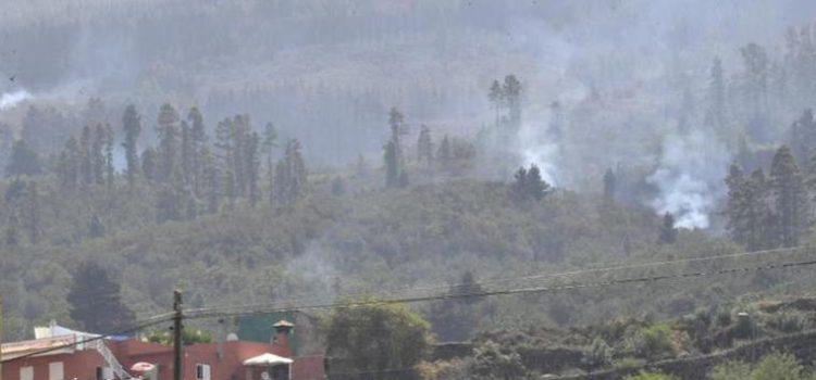 Fuego de subsuelo y reactivaciones mantienen en nivel 2 el incendio de Tenerife