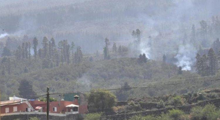 Fuego de subsuelo y reactivaciones mantienen en nivel 2 el incendio de Tenerife