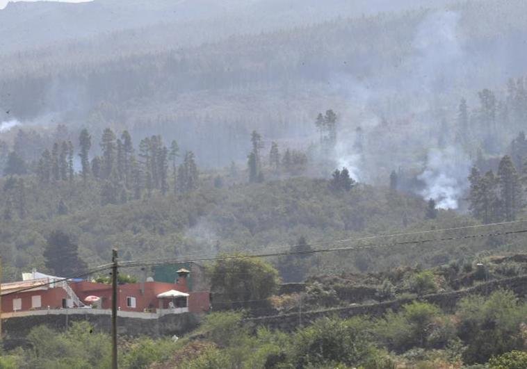 Fuego de subsuelo y reactivaciones mantienen en nivel 2 el incendio de Tenerife