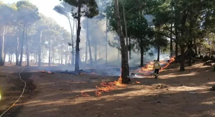 Gran Canaria inicia campaña de quemas prescritas para prevenir incendios forestales