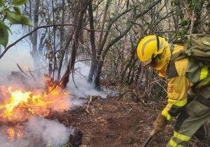 Incendio en Tenerife: Situación sin precedentes por reactivaciones incontrolables