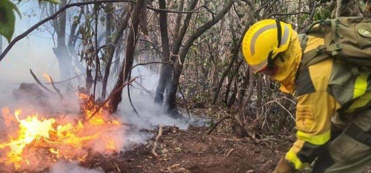 Incendio en Tenerife: Situación sin precedentes por reactivaciones incontrolables