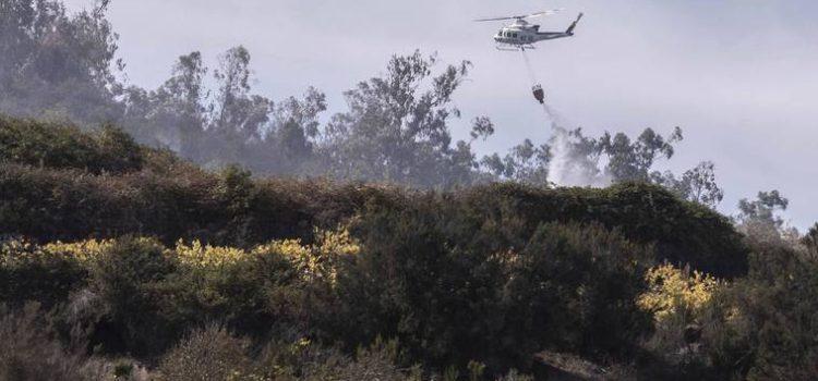 Incendio forestal en Tenerife: Cabildo eleva nivel a 2 y moviliza la Unidad Militar de Emergencia