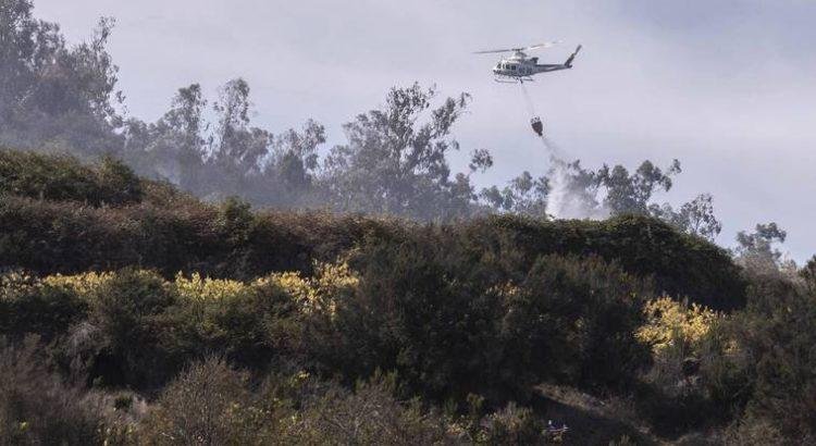 Incendio forestal en Tenerife: Cabildo eleva nivel a 2 y moviliza la Unidad Militar de Emergencia