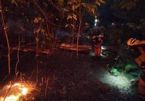Incendio forestal en Tenerife desafía a los equipos de extinción