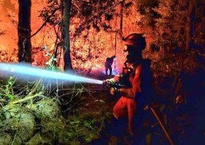 Medios aéreos se suman a la lucha contra el fuego forestal reactivado en Tenerife