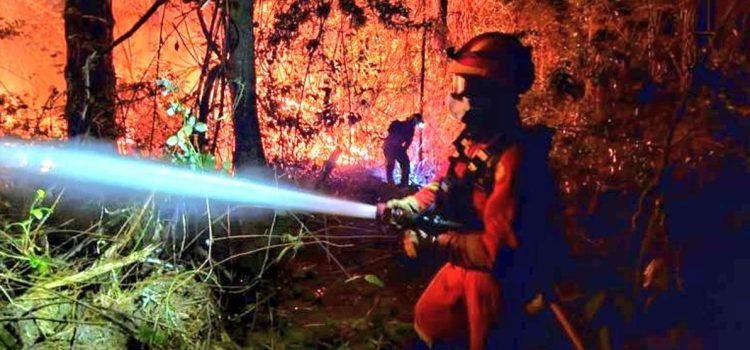 Medios aéreos se suman a la lucha contra el fuego forestal reactivado en Tenerife