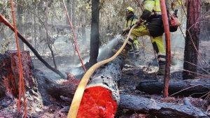 Nivel 2 en incendio forestal de Tenerife se mantiene debido a rachas de viento erráticas