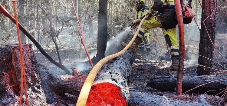 Nivel 2 en incendio forestal de Tenerife se mantiene debido a rachas de viento erráticas