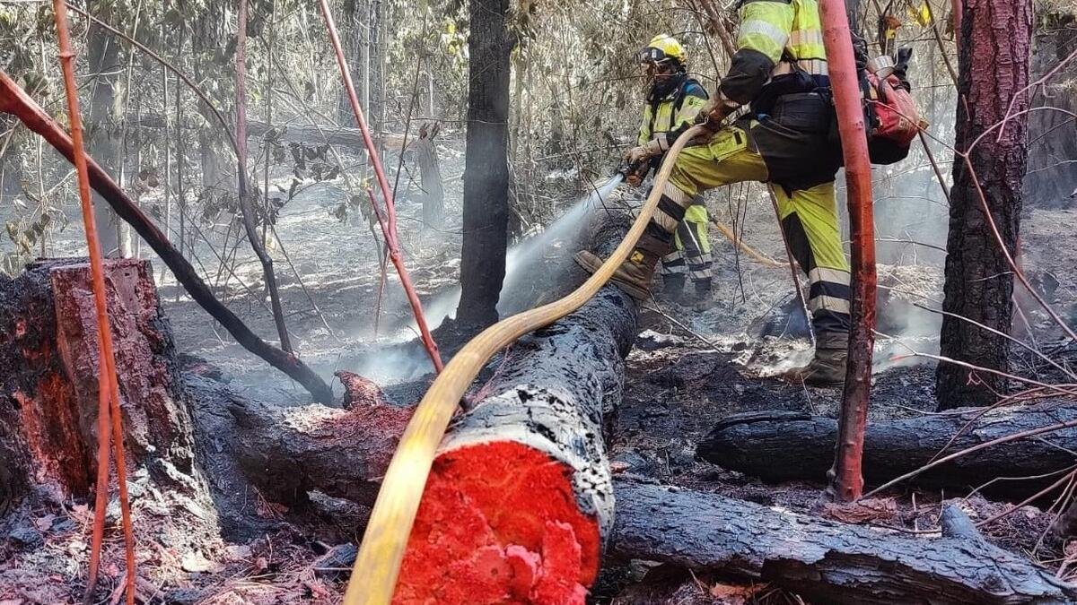 Nivel 2 en incendio forestal de Tenerife se mantiene debido a rachas de viento erráticas