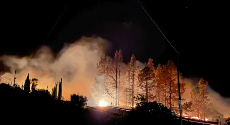 La Junta de Andalucía se aliará con la inteligencia artificial para combatir incendios forestales