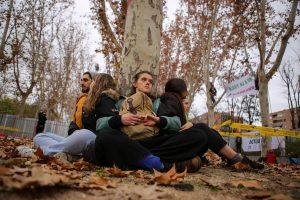 Protestas ciudadanas contra la tala masiva de árboles en Madrid