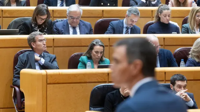 El PP exige respuestas al Gobierno por la situación en Barajas y Canarias