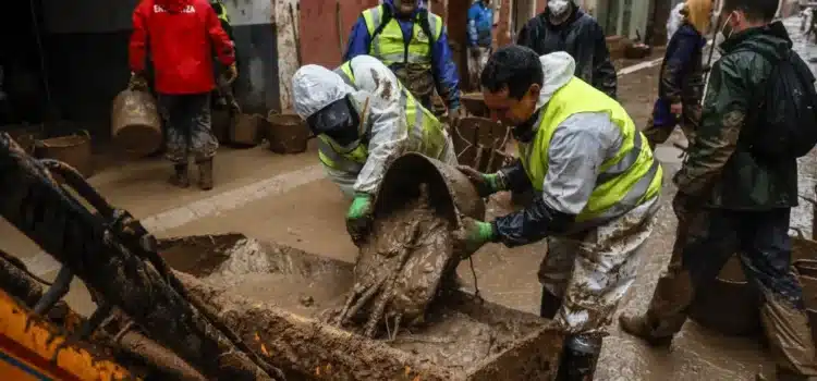 Virus, bacterias, parásitos, protozoos, amebas… Detectan una treintena de agentes infecciosos en la zona cero de la DANA