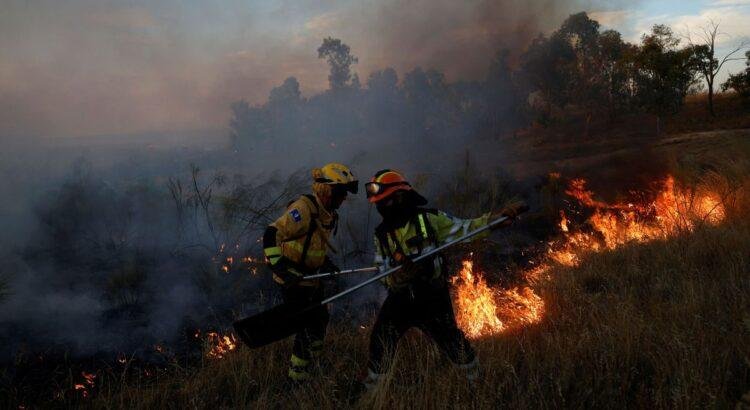 Poblaciones confinadas, cortes de carreteras y lluvia de ceniza por el incendio en Méntrida que llega hasta Madrid