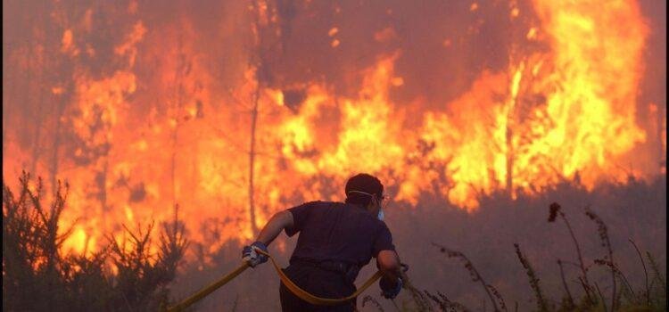Gobierno y PP se echan a la cara la falta de inversión contra el fuego en plena emergencia
