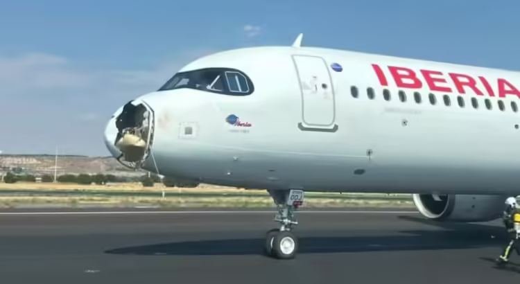 Un avión chocó con un pájaro, destrozó la trompa en pleno vuelo y tuvo que aterrizar de emergencia en Madrid