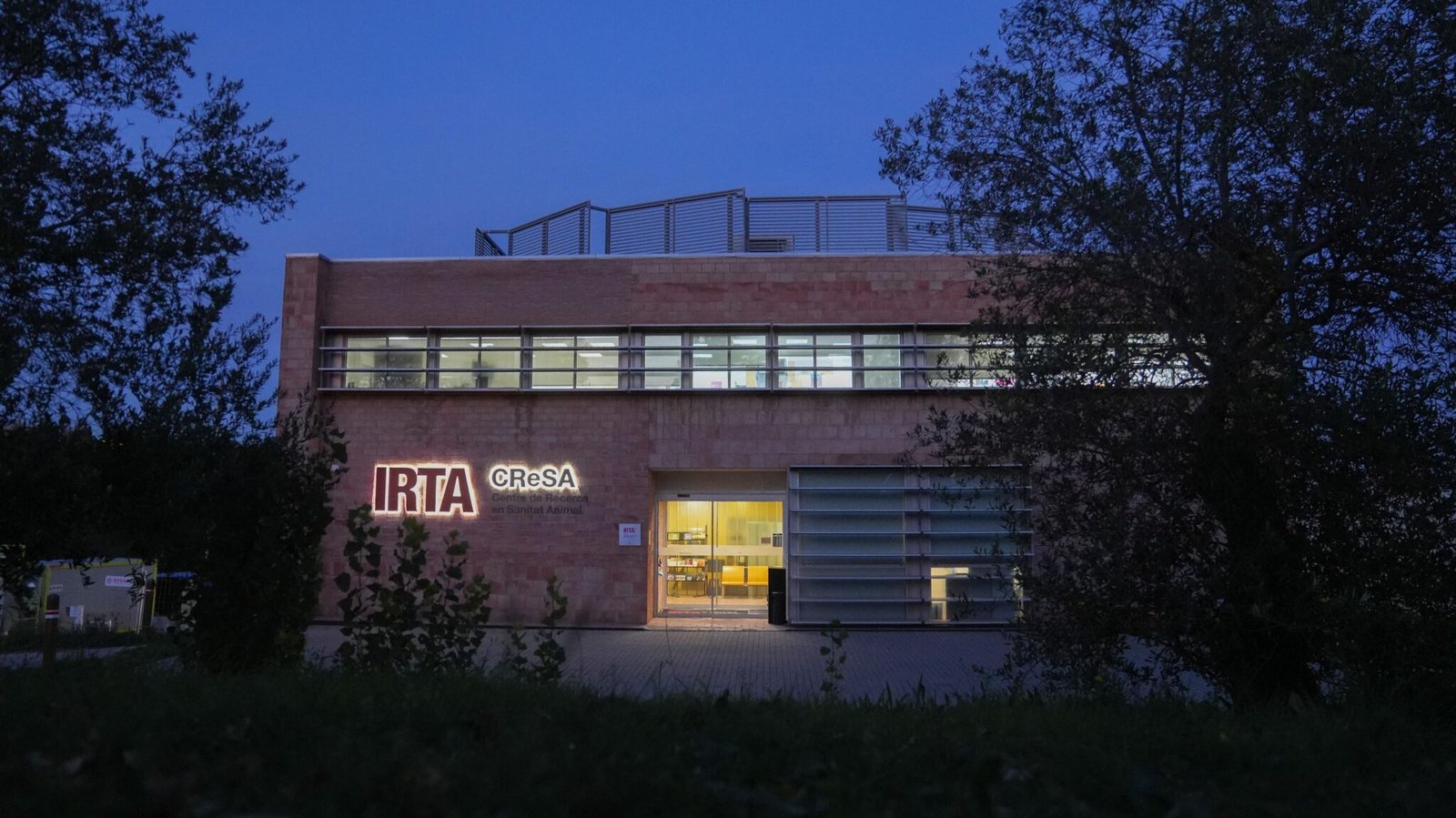 El Ministerio de Agricultura investiga si el brote de peste porcina se originó en un laboratorio